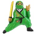 Ninja-zielony.jpg