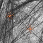 Pajęczyna Czarna Halloween